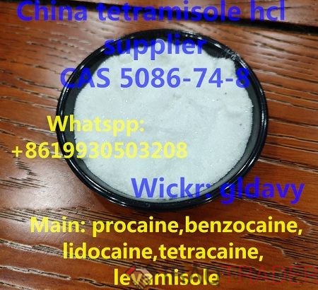 China tetramisole hcl powder CAS 5086-74-8 in stock