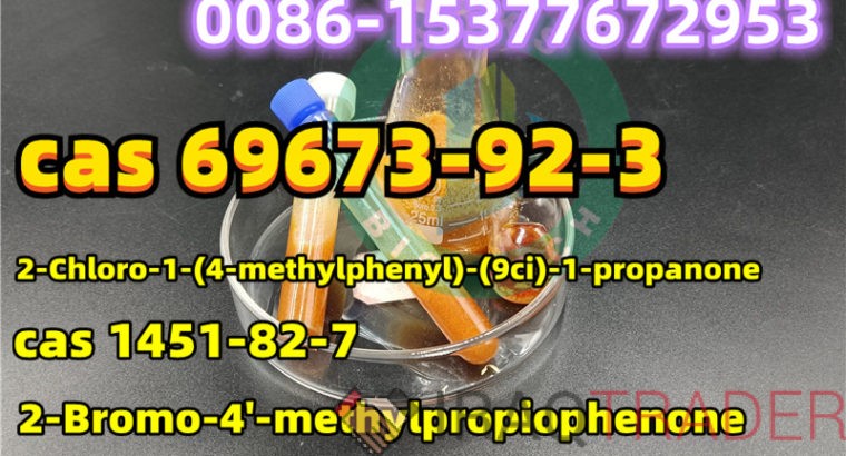 CAS 69673-92-3 for Sale Manufacturer Supply CAS 69673-92-3 2-Chloro-1- (4-methylphenyl) -1-Propanone with High Purity