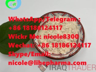 2-Oxiranecarboxylicacid CAS 28578-16-7 99% White powder in stock