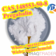 High Quality Pharma Chemicals CAS 155742-64-6 N-Methylcarbonyl-2-Chloroacetamidrazone