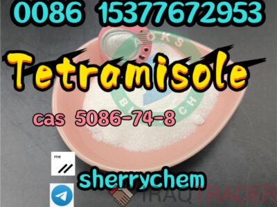 99% Purity Tetramisol Hcl Tetramisole Powder cas 5086-74-8 with safe delivery