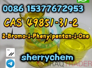 CAS 49851-31-2 / 2-Bromo-1-Phenyl-1-Pentanoneto With High Yield Factory Hot Sell Russia