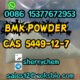 New BMK Powder Cas CAS 5449-12-7