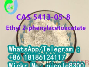 Ethyl 2-phenylacetoacetate White powder CAS 5413-05-8 99% purity