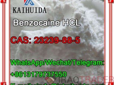 CAS: 23239-88-5 Benzocaine HCL 99% Manufactory High Purity