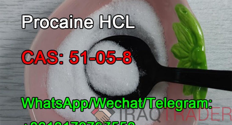 CAS: 51-05-8 Procaine HCL 99% Factory Supply High Purity