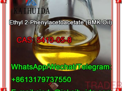 CAS: 5413-05-8 Ethyl 2-Phenylacetoacetate (BMK) 99% Manufactory High Purity