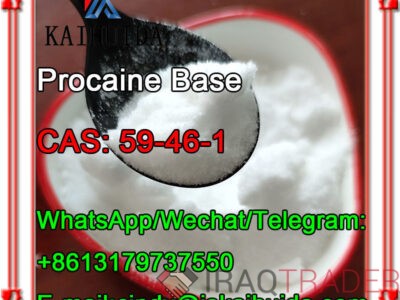 CAS: 59-46-1 Procaine Base 99% Manufactory High Purity