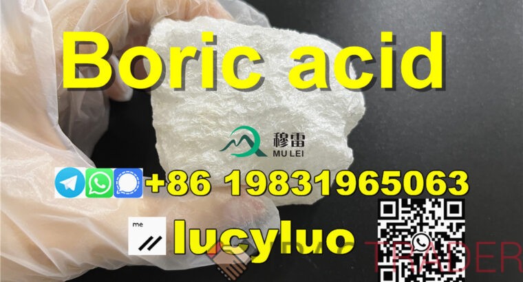 Hot selling Boric acid cas 11113-50-1 in stock