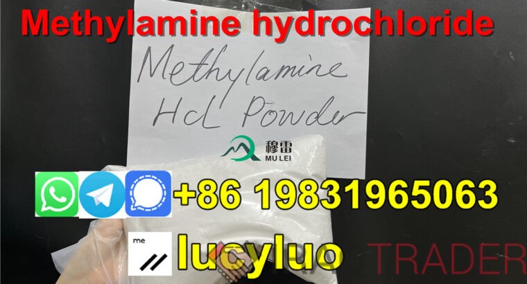 Factory SupplyI Methylamine hydrochloride White Powder CAS593-51-1