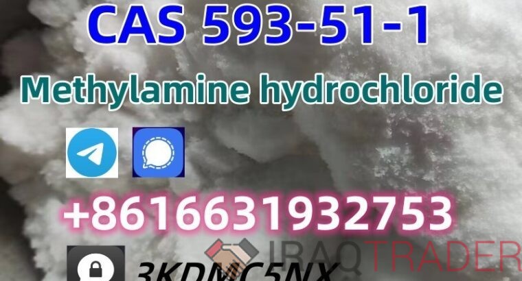 CAS 593-51-1 Methylamine hydrochloride tele@carolchem