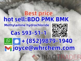 whatsapp:+(852)9879-1940 CAS 593-51-1 Methylamine hcl high quality best sell factory supply
