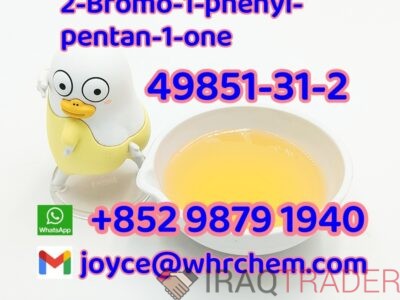 cas 49851-31-2 2-Bromo-1-phenyl-pentan-1-one with Best quality and safe delivery