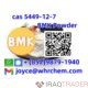 Sell BMK powder 5449-12-7 BMK Glycidic Acid whatsapp:+(852)9879-1940