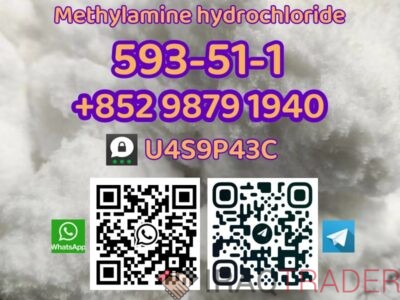 CAS 593-51-1 Seller Methylamine Hydrochloride Methylamine HCl Methylammonium chloride