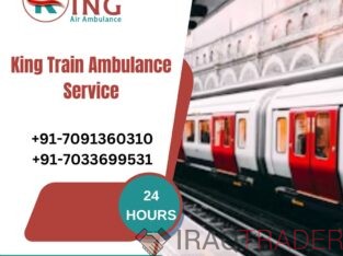 Get King Train Ambulance in Delhi with expert medical team