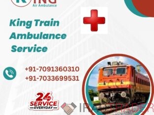 Take King Train Ambulance Services in Patna with Emergency Patient Move at a Low cost